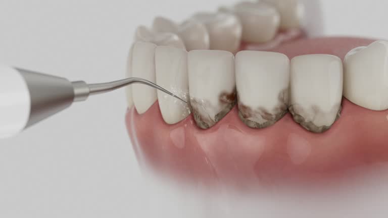 Reliable Dental contractor in San Gabriel, CA by Dentist Open Now